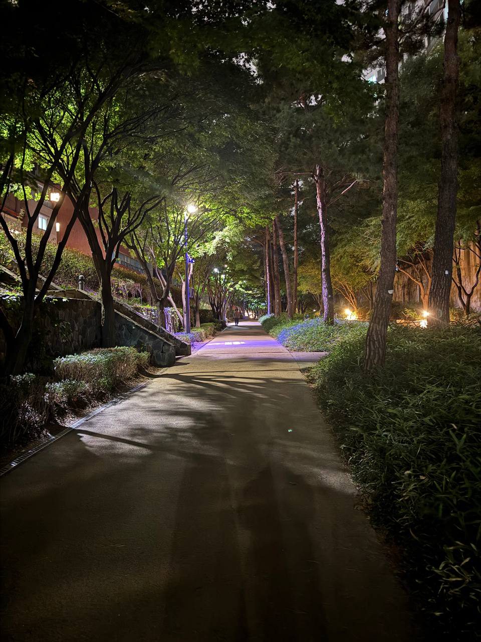 나무들이 양옆을 감싼 밤 산책로에 긴 가지 그림자가 드리워져 있고 왼쪽 돌계단과 멀리 걷는 사람이 보인다