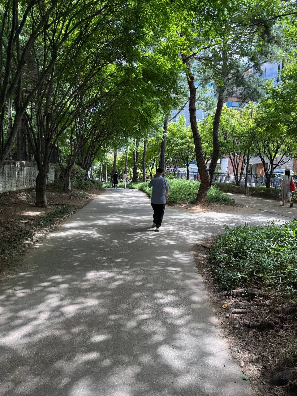 나뭇잎 사이로 든 햇빛이 바닥에 얼룩덜룩한 그림자를 만든 그늘진 산책로를 한 사람이 걸어가는 모습