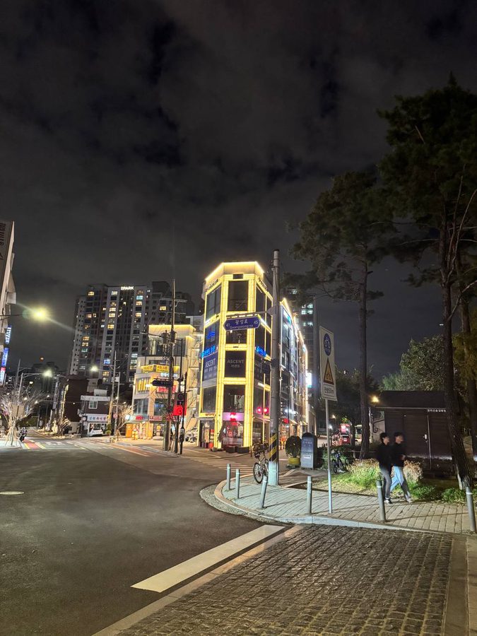 어두운 밤 교차로 너머로 노란 조명을 두른 건물이 보이고 오른쪽에는 숲길의 나무와 보행자가 있다