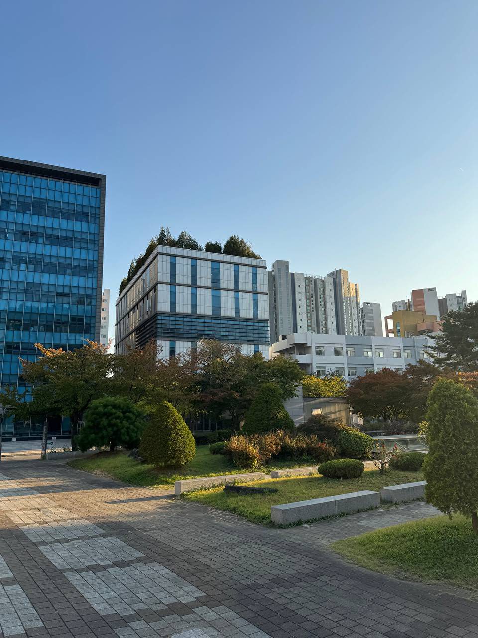 건물들 앞 작은 정원에 둥글게 다듬은 관목과 잔디, 긴 돌 벤치가 놓여 있고 뒤쪽으로 아파트가 보인다