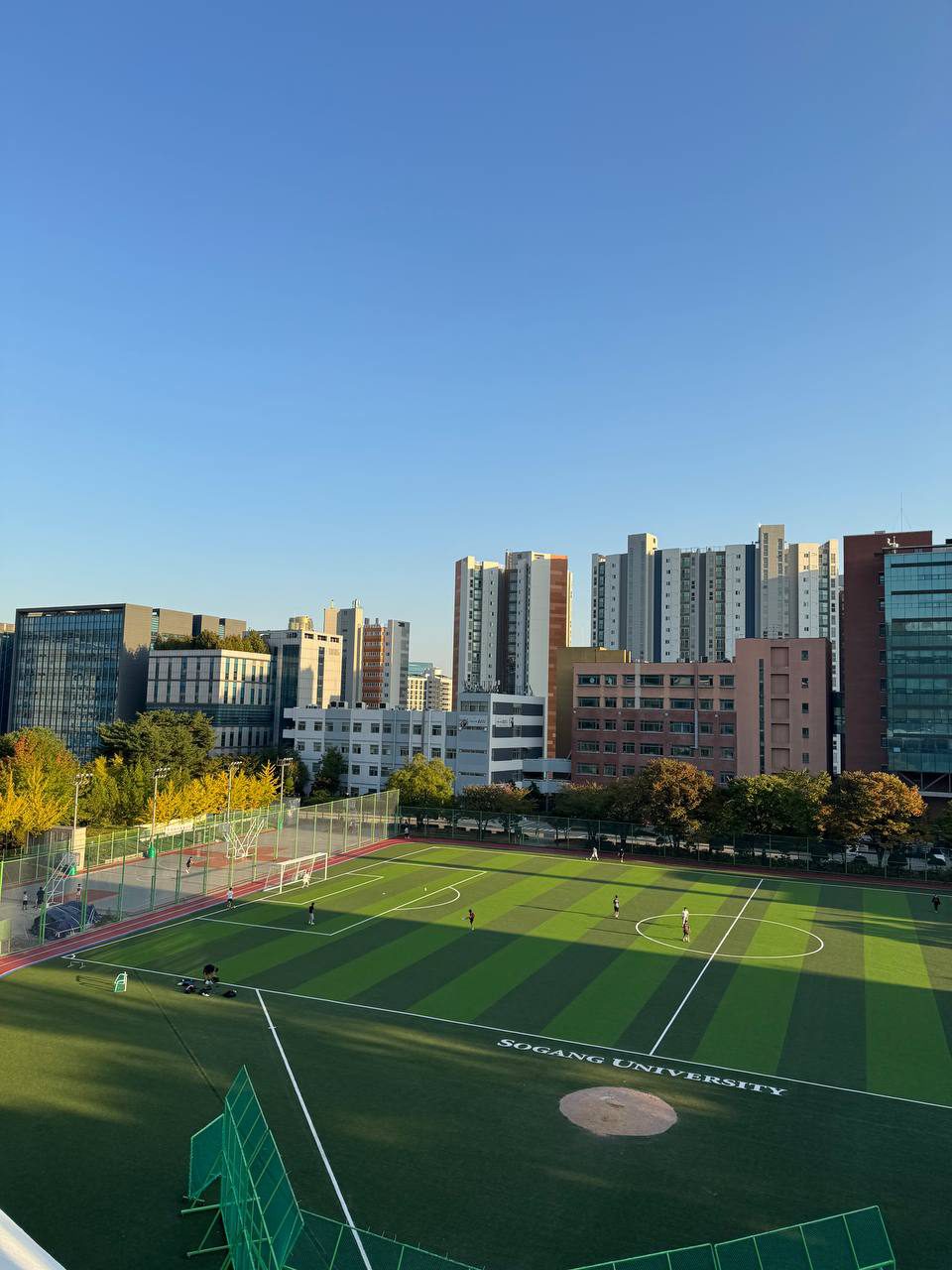 서강대 운동장 위로 긴 그림자가 드리워져 있고 왼쪽의 노란 나무들과 뒤편 건물들이 햇살을 받고 있다