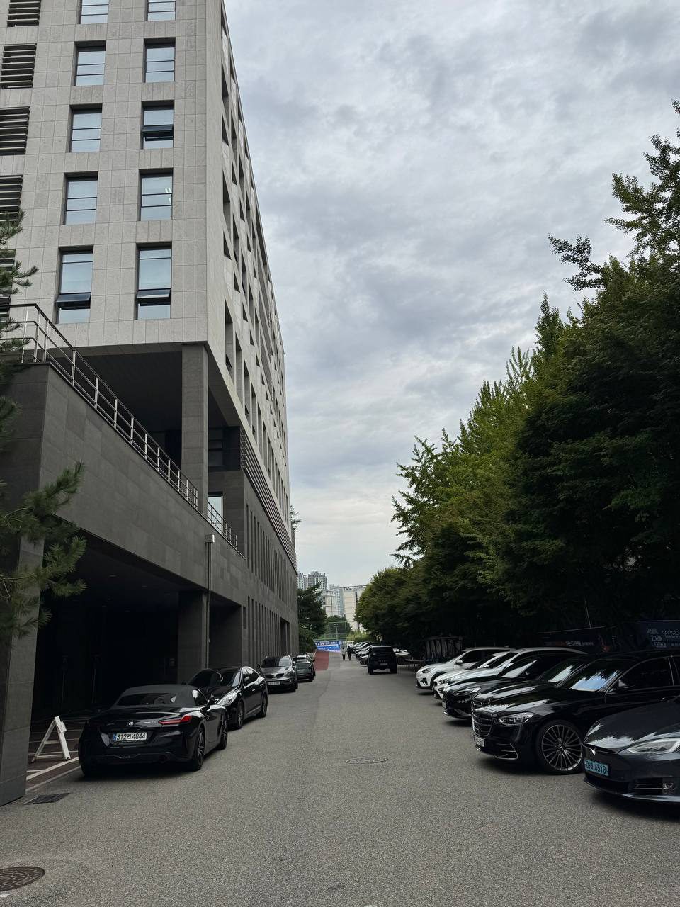 회색 석재로 마감된 GN관 측면과 그 옆으로 차들이 양쪽에 주차된 캠퍼스 안쪽 길, 오른쪽에 은행나무가 늘어서 있다