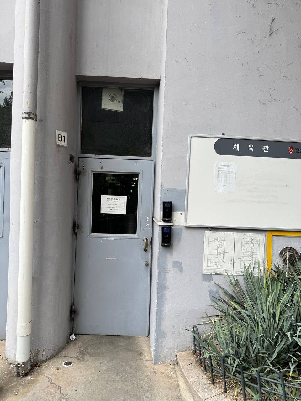B1 표지판이 붙은 서강대 체육관 지하 출입구의 회색 철문, 옆에 카드 단말기 두 대와 체육관 게시판, 아래에 화단이 있다
