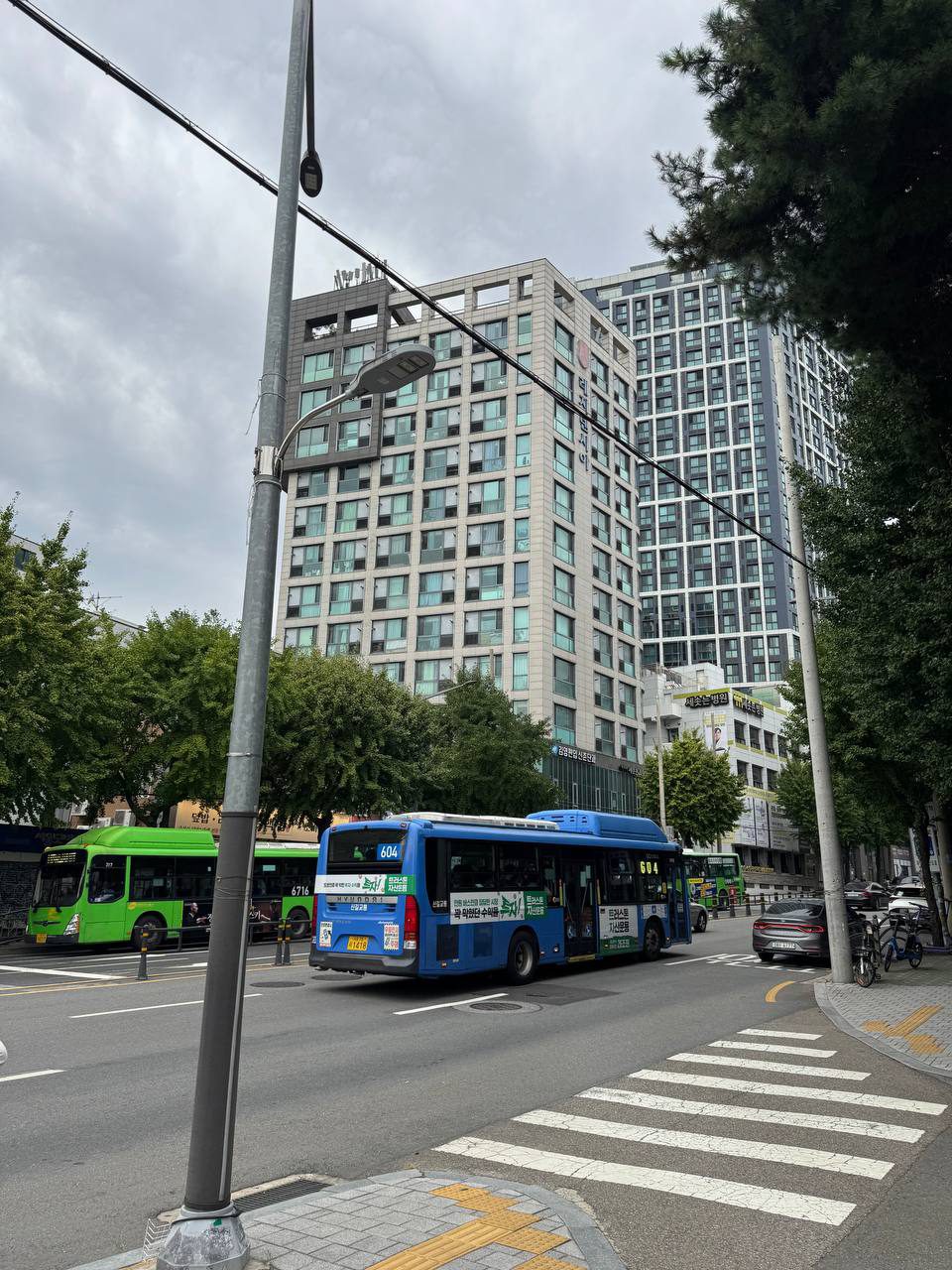 큰길에 정차한 초록색 지선버스와 파란색 604번 간선버스, 그 뒤로 솟은 고층 주상복합 건물과 은행나무 가로수