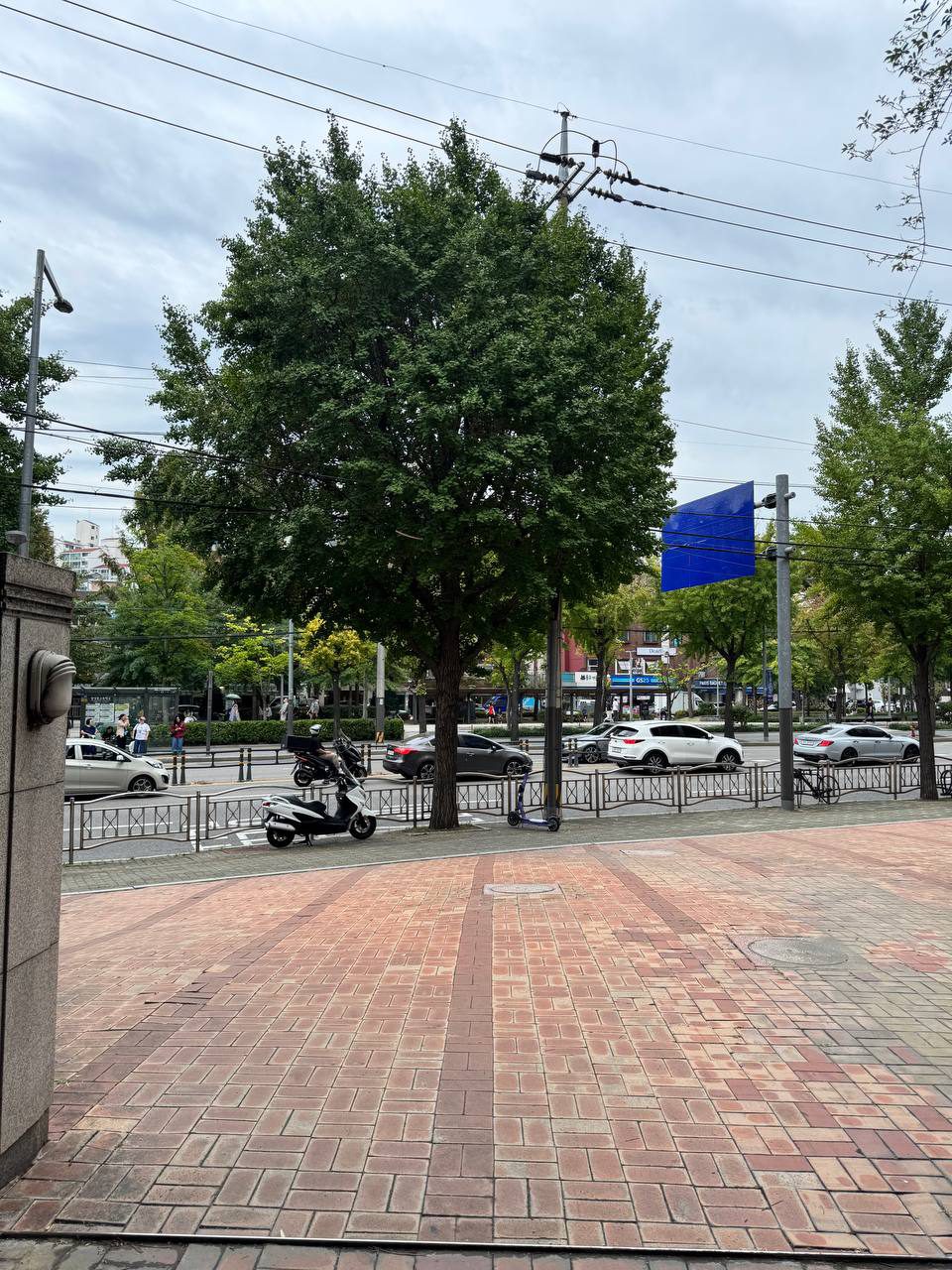 남문 앞 붉은 벽돌 보도블록 광장과 큰 은행나무, 길 건너 학원 간판이 늘어선 거리, 도로변에 오토바이와 킥보드가 세워져 있다