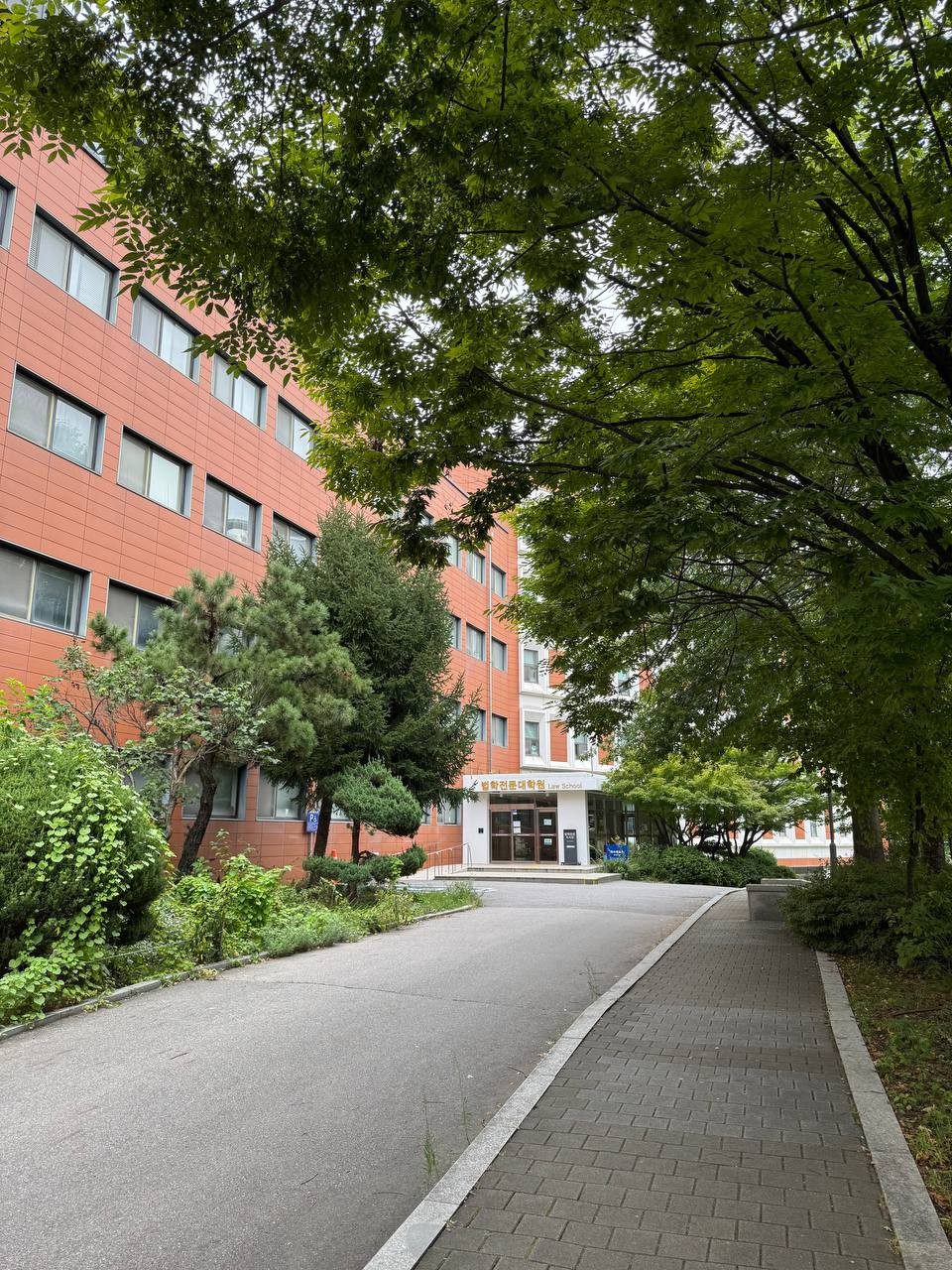 나뭇가지가 드리운 길과 보도 너머로 법학전문대학원 간판이 붙은 X관 출입구가 보인다